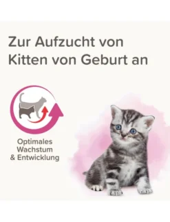beaphar Lactol Aufzucht-Milch für Katzen 250g