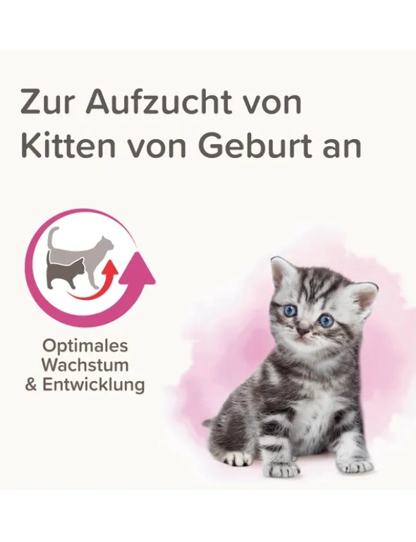 beaphar Lactol Aufzucht-Milch für Katzen 250g