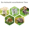 beaphar Lactol Aufzucht Set