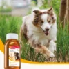 beaphar Leinöl 430ml