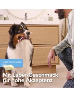 beaphar Zahngel blau 100g