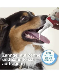 beaphar Zahngel blau 100g