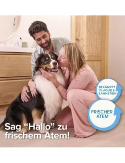 beaphar Zahngel blau 100g