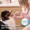 beaphar Zahnpasta blau 100g