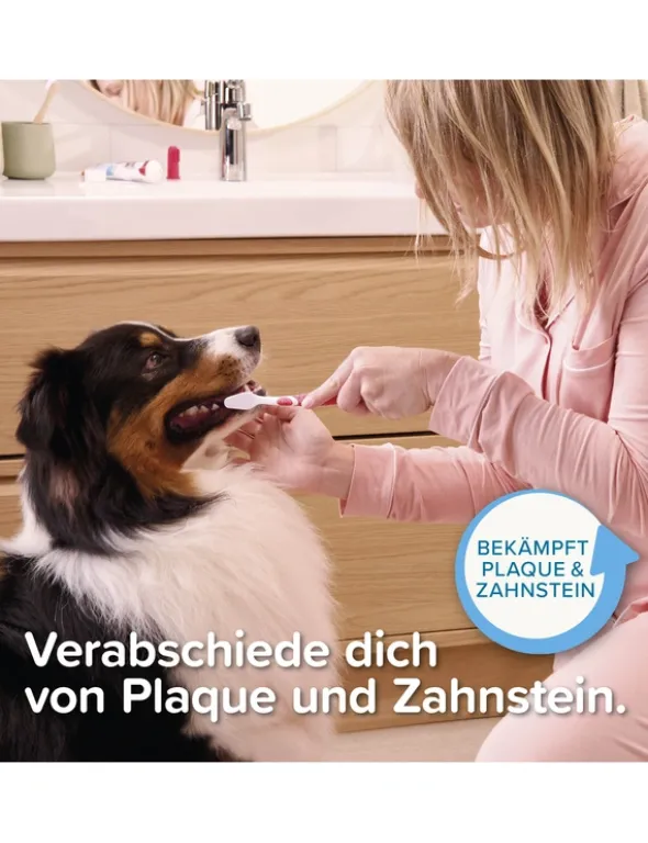 beaphar Zahnpasta blau 100g