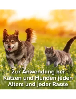 beaphar Zeckenstift rot