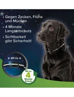 beaphar Zecken- und Flohschutz Halsband reflektierend für Hunde grün