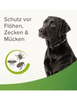 beaphar Zecken- und Flohschutz Halsband reflektierend für Hunde grün