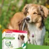 beaphar Zecken- und Flohschutz SPOT-ON für Hunde grün 1ml