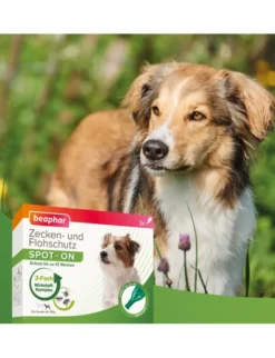 beaphar Zecken- und Flohschutz SPOT-ON für Hunde grün 1ml