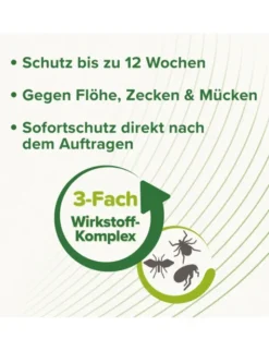 beaphar Zecken- und Flohschutz SPOT-ON für Katzen grün 1ml