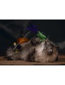 beeztees Halloween Katzenangeln Freaky