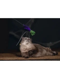 beeztees Halloween Katzenangeln Freaky
