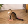 beeztees Kratzbrett Leopard rosa