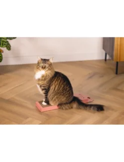 beeztees Kratzbrett Leopard rosa