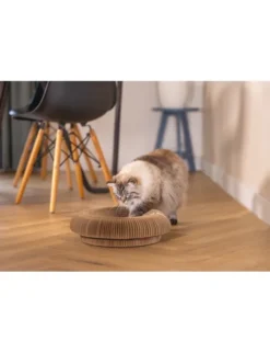 beeztees Kratzspielzeug aus Karton beige