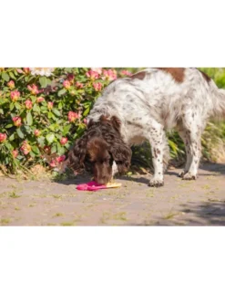 beeztees Leckmatte Eiscreme braun, pink