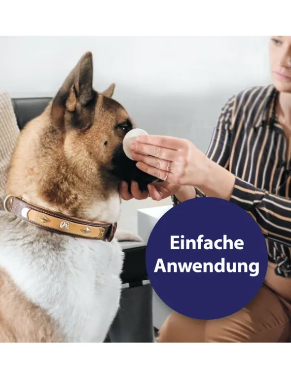 Canosept Augenpflege Pads für Hunde