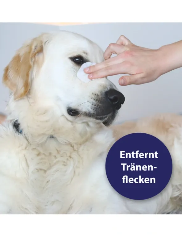 Canosept Augenpflege Pads für Hunde