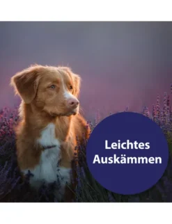 Canosept Fellpflegespray für Hunde 250ml
