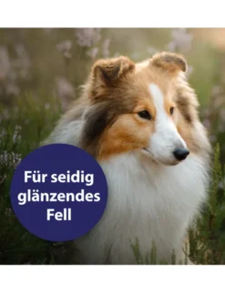 Canosept Fellpflegespray für Hunde 250ml