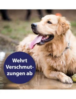 Canosept Fellpflegespray für Hunde 250ml