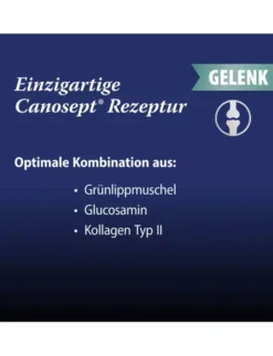 Canosept Gelenktabletten 70g