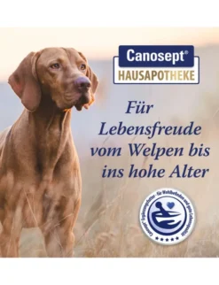 Canosept Gelenktabletten 70g