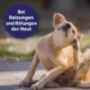 Canosept Hautpflege Spray für Hunde 250ml
