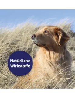 Canosept Hautpflege Spray für Hunde 250ml