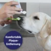 Canosept 3-Kopf-Zahnbürste für Hunde