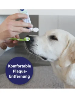 Canosept 3-Kopf-Zahnbürste für Hunde