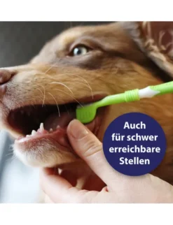 Canosept 3-Kopf-Zahnbürste für Hunde