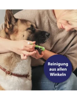 Canosept 3-Kopf-Zahnbürste für Hunde