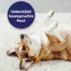 Canosept Mikro Silberspray für Hunde 75ml