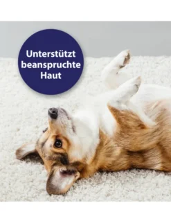 Canosept Mikro Silberspray für Hunde 75ml