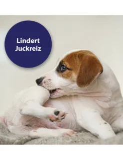 Canosept Mikro Silberspray für Hunde 75ml