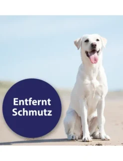 Canosept Ohrenreiniger für Hunde 125ml