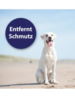 Canosept Ohrpflege Finger-Pads für Hunde