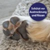 Canosept Pfotenpflege für Hunde 75ml