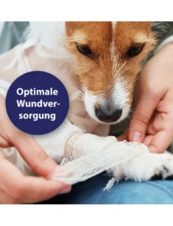 Canosept Wundgel für Hunde 20ml