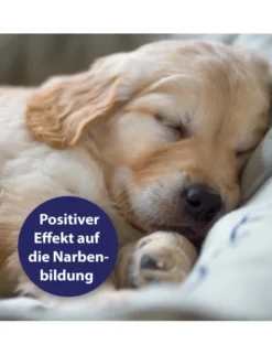 Canosept Wundgel für Hunde 20ml