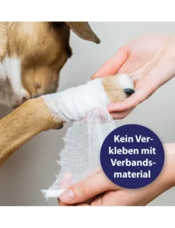 Canosept Wundgel für Hunde 20ml