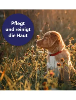 Canosept Wundspray für Hunde 75ml