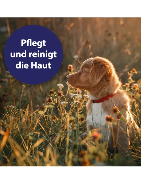 Canosept Wundspray für Hunde 75ml