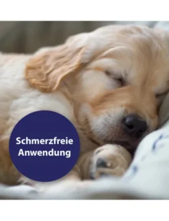 Canosept Wundspray für Hunde 75ml