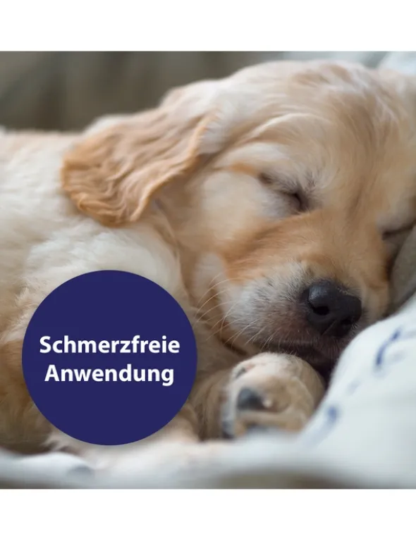 Canosept Wundspray für Hunde 75ml