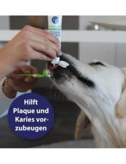 Canosept Zahnpasta Dental Gel für Hunde 100g