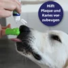 Canosept Zahnpflege Finger-Bürsten für Hunde