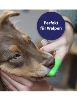 Canosept Zahnpflege Finger-Bürsten für Hunde